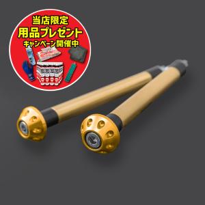 【期間限定おまけ付き!】ARCHI アーキ AR...の商品画像