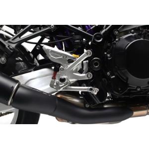 期間限定おまけ付き！】ARCHI アーキ カーボン ABS アンチロック