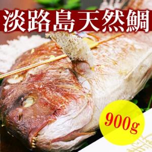 お食い初め　淡路島産天然焼き鯛900g〜　１００日祝い 鯛  焼き鯛 祝鯛 天然 淡路島 送料無料