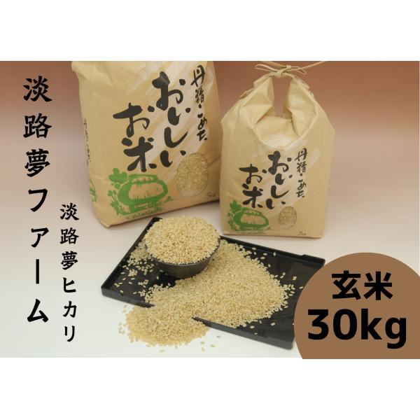 【令和７年産】コシヒカリ　玄米３０kg　送料無料（北海道・沖縄県は＋５００円）　淡路夢ヒカリ　淡路夢...
