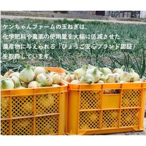淡路島産 新玉ねぎ 5kg ひょうご安心ブラン...の詳細画像2