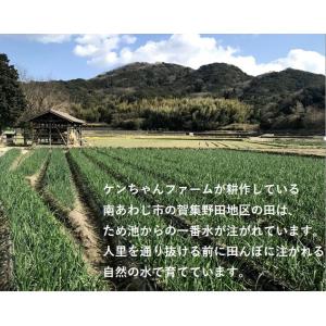 淡路島産 新玉ねぎ 5kg ひょうご安心ブラン...の詳細画像3