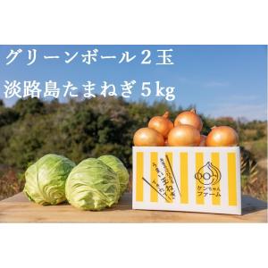 玉ねぎ たまねぎ　キャベツ  淡路島 淡路島たまねぎ 淡路島玉ねぎ タマネギ 玉葱 5キロ　野菜セット