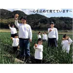 玉ねぎ たまねぎ 淡路島 淡路島たまねぎ 淡路...の詳細画像4