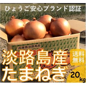 玉ねぎ たまねぎ 淡路島 淡路島たまねぎ 淡路島玉ねぎ タマネギ玉葱 20キロ　淡路島産 ケンちゃんファーム