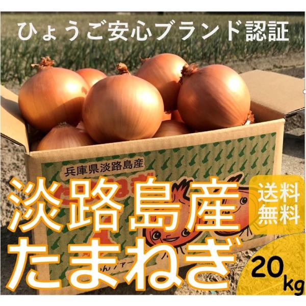 玉ねぎ たまねぎ 淡路島 淡路島たまねぎ 淡路島玉ねぎ タマネギ玉葱 20キロ　淡路島産 ケンちゃん...