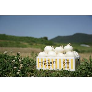 昨年完売の品種！淡路島  白玉ねぎ ３キロ　　ケンちゃんファーム　たまねぎ　淡路島産　玉ねぎ