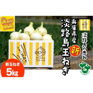 【訳あり】新玉ねぎ 新たまねぎ 淡路島 淡路島たまねぎ 淡路島玉ねぎ タマネギ 玉葱 ５キロ　淡路島産 ケンちゃんファーム