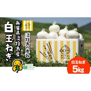 淡路産 むき玉ねぎ 20キロ 上下切り落とし 皮をむく手間が省ける