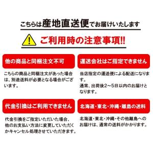 甘酒 麹 乳酸菌 ちほまろ 玄米味 500g×...の詳細画像2