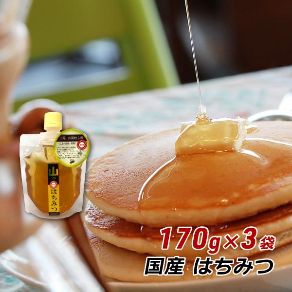 非加熱 蜂蜜 国産 純粋 山のはちみつ 170g×3袋 詰替タイプ 福岡県産 ヒグチ園 メール便 送...