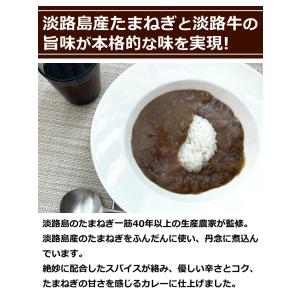 カレー レトルトカレー 中辛 淡路島たまねぎビ...の詳細画像1