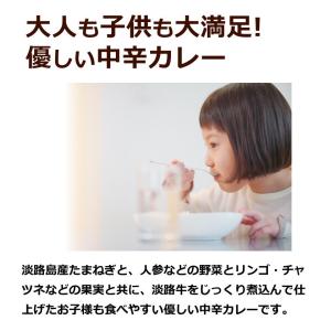 カレー レトルトカレー 中辛 淡路島たまねぎビ...の詳細画像2