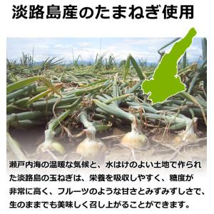 カレー レトルトカレー 中辛 淡路島たまねぎビ...の詳細画像3