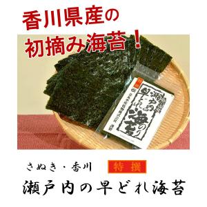 海苔 のり 焼き海苔 瀬戸内の早どれ海苔 特撰...の詳細画像1