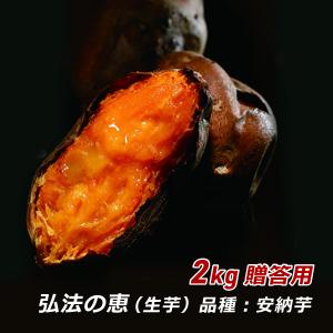 さつまいも 安納芋 弘法の恵 2kg 贈答用 ギフト さんわ...
