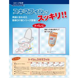 トイレのスキマフィル 100ml×5本 コーキ...の詳細画像2