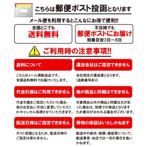 トイレのスキマフィル 100ml×5本 コーキ...の詳細画像5