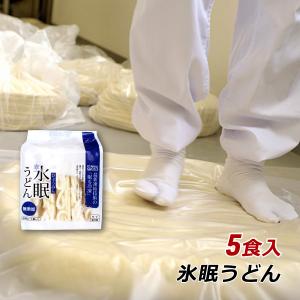 冷凍うどん 讃岐うどん 冷凍 香川 手打ち 無添加 氷眠うどん 5食入 香川県産 たも屋 眠る冷凍 産地直送 クール便 送料無料｜awajikodawari