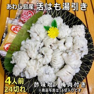 淡路産活はも湯引き【4人前】24切れ入り酢味噌・梅肉付き（鱧・ハモ・はも・落とし）【お中元】【ギフト】｜awajisakana