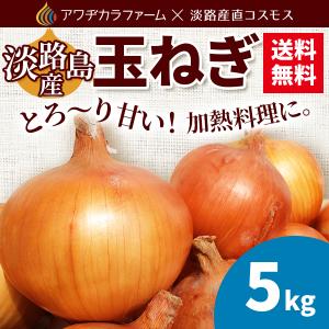 淡路島産とろ甘玉ねぎ５ｋｇ　４日以内直送