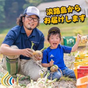 順次発送中 淡路島 玉ねぎ 中晩生 10kg ...の詳細画像5