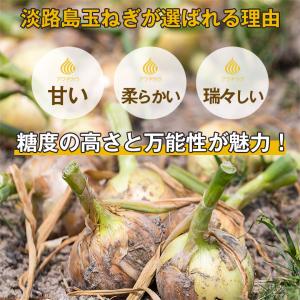 順次発送中 淡路島 玉ねぎ 訳あり 中晩生 3...の詳細画像1