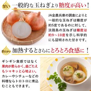 順次発送中 淡路島 玉ねぎ 訳あり 中晩生 3...の詳細画像2