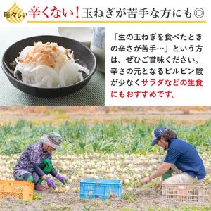 順次発送中 淡路島 玉ねぎ 訳あり 中晩生 3...の詳細画像3