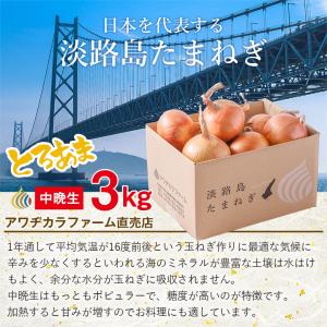 順次発送中 淡路島 玉ねぎ 訳あり 中晩生 3...の詳細画像5