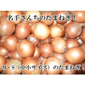 淡路島産玉ねぎ訳あり１０kg 家庭用にどうぞ！2026年産 ＊地域限定送料無料でお届けいたします！
