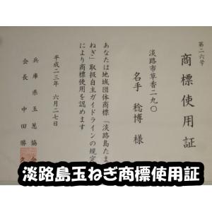 淡路島産玉ねぎ訳あり10kg 家庭用にどうぞ!...の詳細画像4