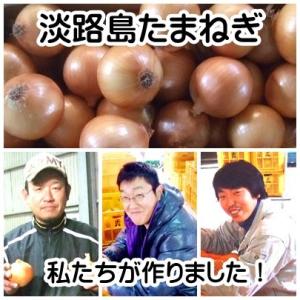 淡路島産玉ねぎ訳あり10kg 家庭用にどうぞ!...の詳細画像5
