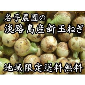 淡路島産 玉ねぎ 5kg 2026年産  新玉ねぎ＊地域限定送料無料でお届けいたします！