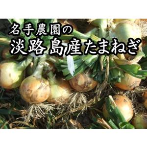 淡路島産 新玉ねぎ 10kg 2026年産*地...の詳細画像3