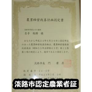 淡路島産じゃがいも きたあかり5kg 2026...の詳細画像3