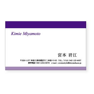 カラー  名刺 印刷 名刺 作成 　上下に階調の異なるラインを配置した名刺デザイン 100枚単位　名...