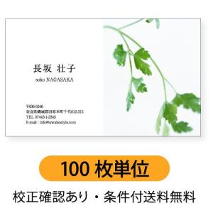 写真名刺　写真を右半分に配置 100枚単位 　名刺ケース1個付属 / ビジネス　趣味　プライベート　お店　会社