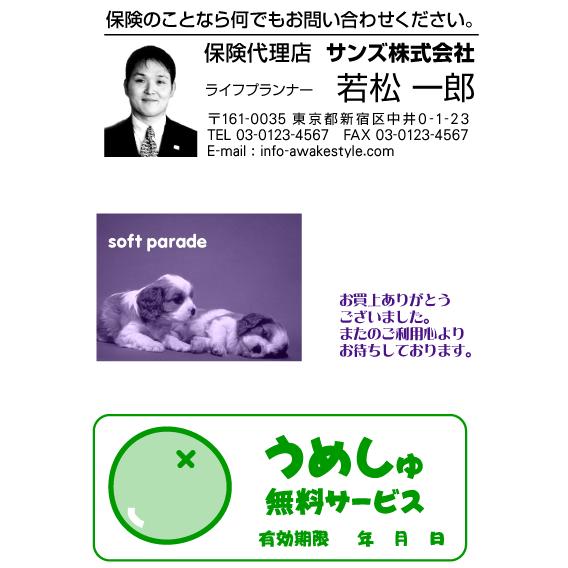 オリジナルスタンプ　オーダー作成　デジはん　Ｌタイプ　26×66ｍｍ　画像あり