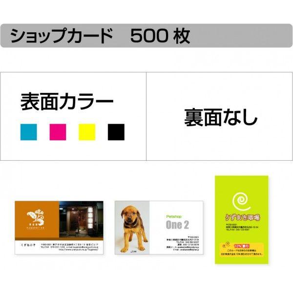 ショップカード　印刷　作成  500枚単位  名刺ケース1個付属