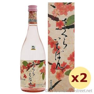 泡盛 古酒 今帰仁酒造 / 今帰仁城 古酒十年 43度,720ml x 2本セット