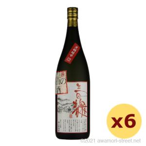 ギフト 父の日 泡盛 甕入泡盛古酒 化粧箱入 43度 琉球城焼 3年古酒 1升