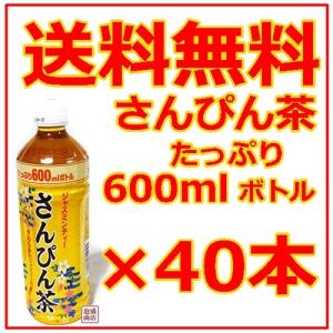 さんぴん茶 沖縄ボトラーズ 600ml 20本セット 1ケース : 沖縄お土産