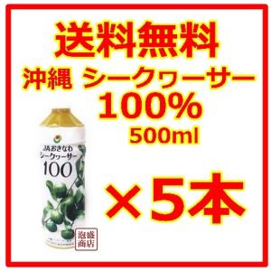 シークヮーサー シークワーサージュース 100％ 原液 JA沖縄  500ml  5本セット  青切り　※賞味期限※2024年11月30日※