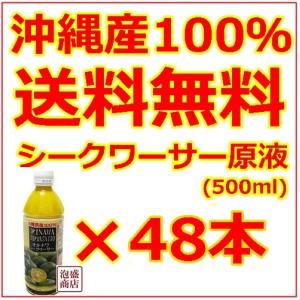 賞味期限2026年11/30※※シークヮーサー シークワーサージュース 100
