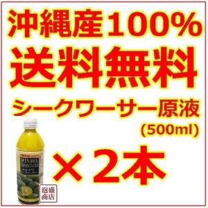 シークヮーサー  シークワーサージュース 原液 オキハム 500ml 2本セット 沖縄県産