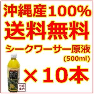 シークヮーサー シークワーサージュース 原液 沖縄 オキハム 500ml 12