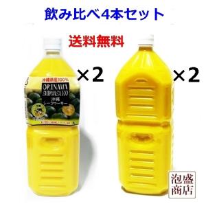 シークヮーサー シークワーサージュース 100％ 原液 JA沖縄 500ml 6本