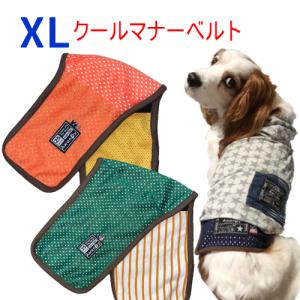 XL 暑い夏の必需品に　接触冷感　犬のきもち　クール　マナーベルト　メッシュ　