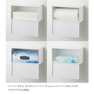 石こうボード壁対応トレー付きペーパータオルディ...の詳細画像5